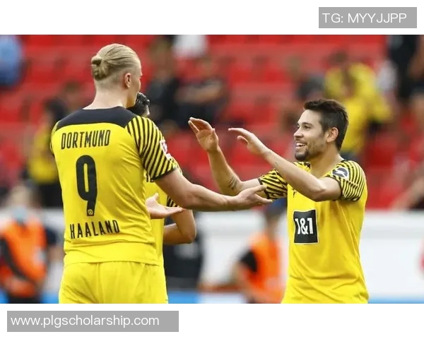 德国足球天才的崛起与辉煌成就探秘