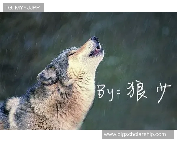 足球明星签名名字大全揭秘让你了解他们背后的故事与个性魅力