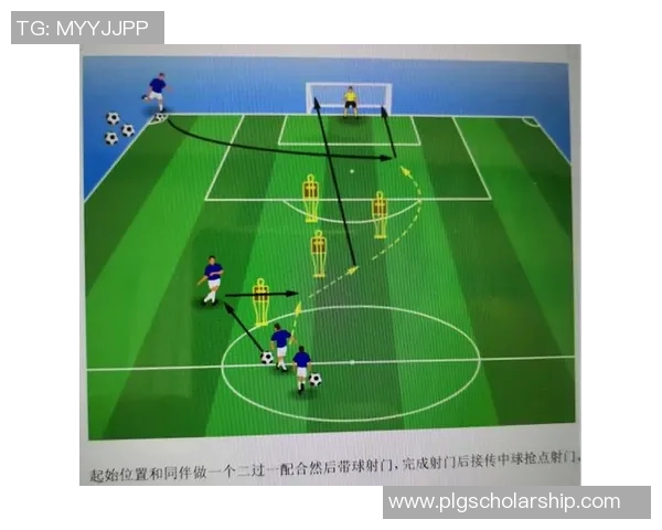 中国足协教练员培养体系的现状与未来发展探讨