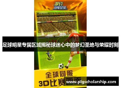 足球明星专属区域揭秘球迷心中的梦幻圣地与荣耀时刻